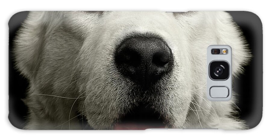 Dog Galaxy Case featuring the photograph Huge Guy by Sergey Taran