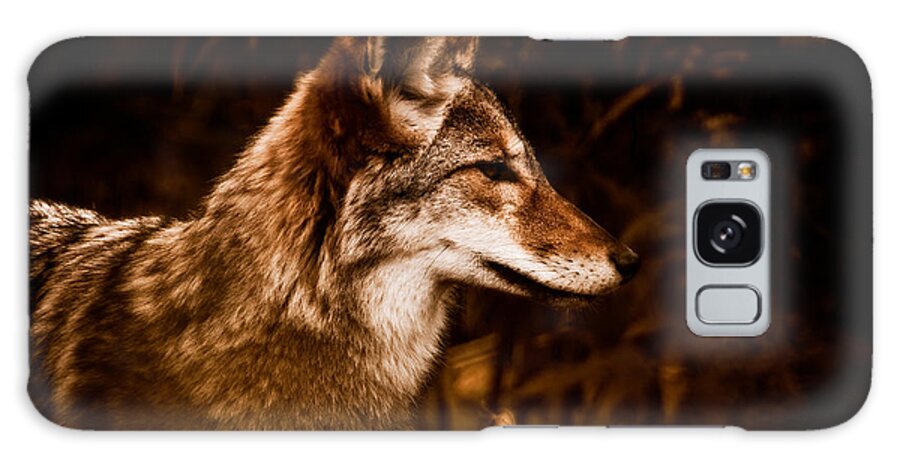 Prairie Wolf Galaxy Case featuring the photograph Prairie Wolf Portrait by Venetta Archer