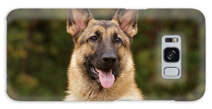 German Shepherd Dog Galaxy Case featuring the photograph Pretty Girl by Sandy Keeton