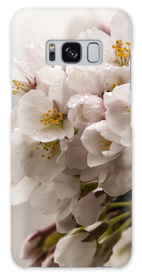 Cherry Blossom Galaxy S8 Case featuring the photograph Pretty In Pink by Edward Kreis