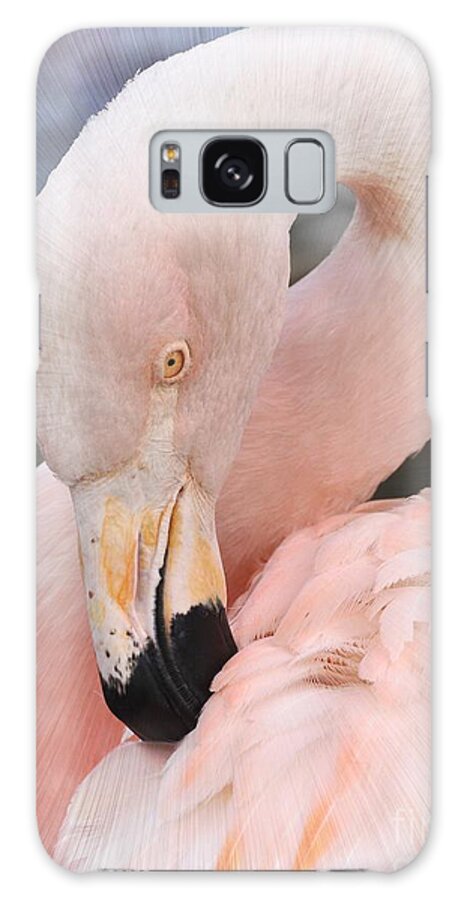 Flamingo Galaxy Case featuring the photograph Pretty In Pink by Kathy Baccari