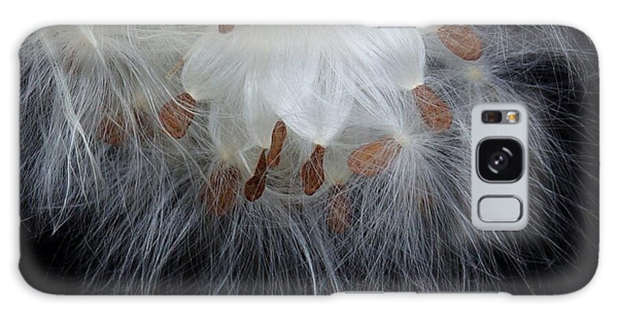 Seeds Galaxy Case featuring the photograph Pretty Seeds -Ugly Weeds by Lori Lafargue
