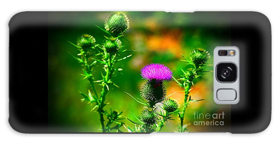 Landscape Galaxy Case featuring the photograph Prickles of a Bull Thistle by Becky Kurth