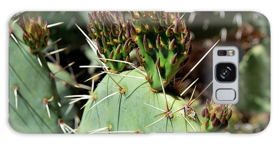 Nature Galaxy S8 Case featuring the photograph Prickly Pear Buds by Ron Cline