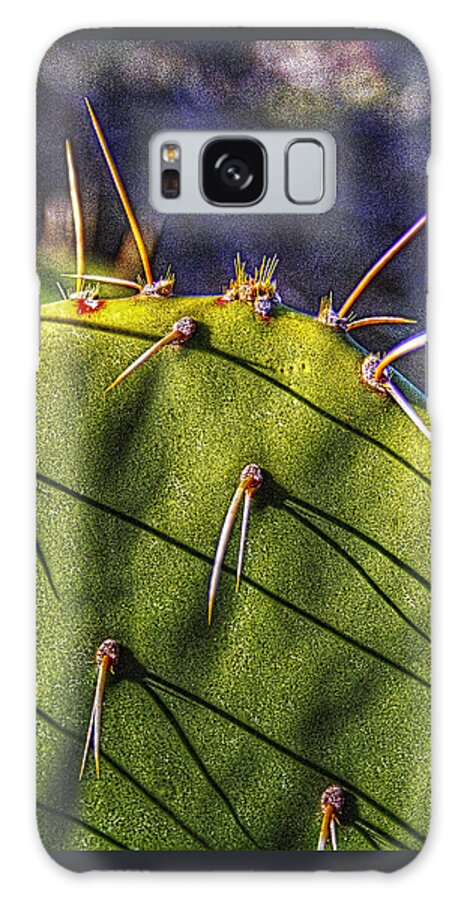 Arizona Galaxy Case featuring the photograph Prickly Pear Study No. 9 by Roger Passman