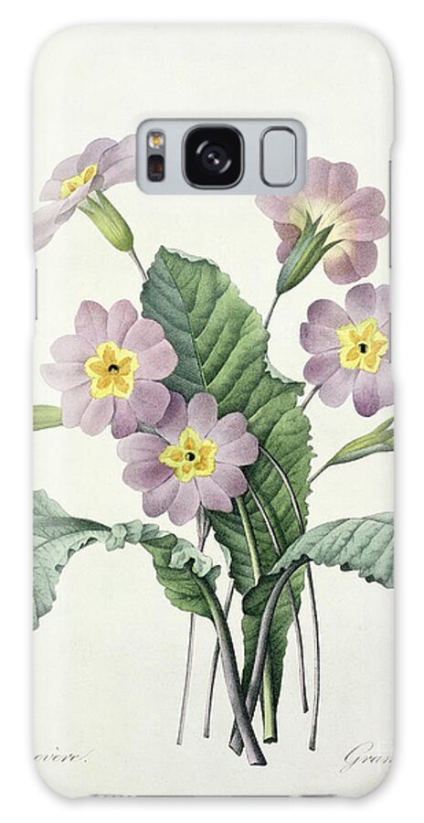 Primula Galaxy Case featuring the drawing Primrose by Pierre Joseph Redoute