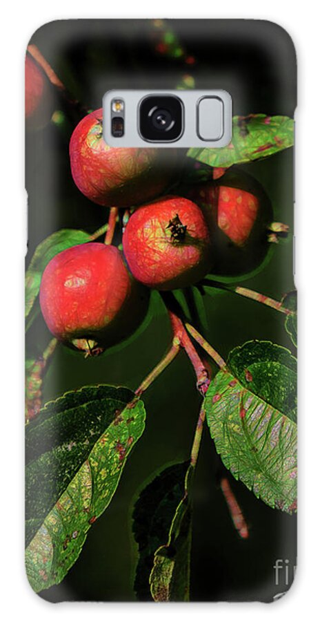 Fruit Galaxy Case featuring the photograph Producing fruit by Pat Lucas