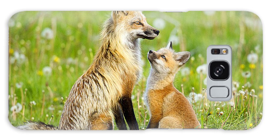 Red Fox Galaxy Case featuring the photograph Promise Of Spring by Aaron Whittemore