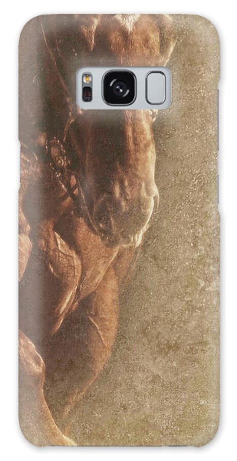 Prowess Galaxy Case featuring the photograph Prowess and Power by Amanda Smith