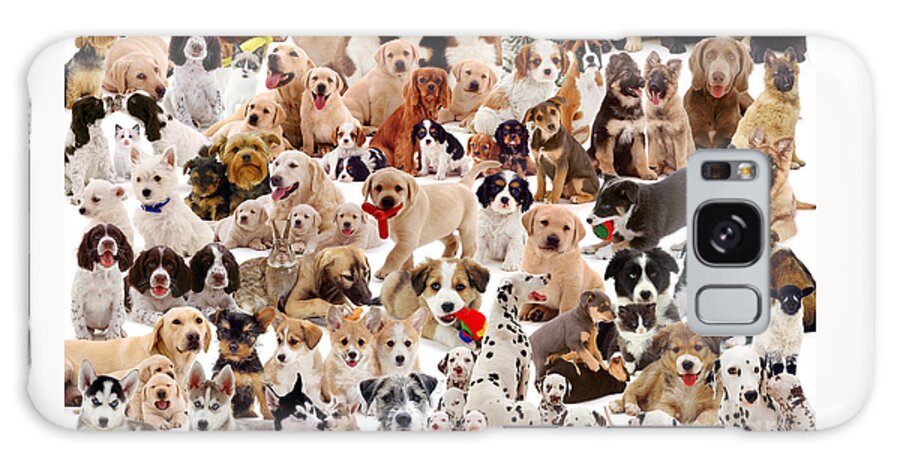 Puppies Galaxy Case featuring the photograph Puppies montage by Warren Photographic