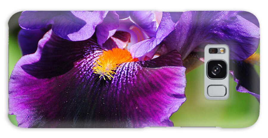 Beautiful Iris Galaxy Case featuring the photograph Purple and Orange Iris 4 by Jai Johnson