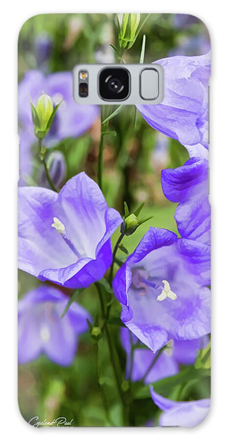 Purple Galaxy Case featuring the photograph Purple Bell Flowers by Joann Copeland-Paul