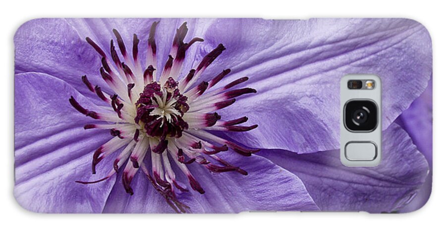 Flowers Galaxy Case featuring the photograph Purple Clematis Blossom by Louis Dallara