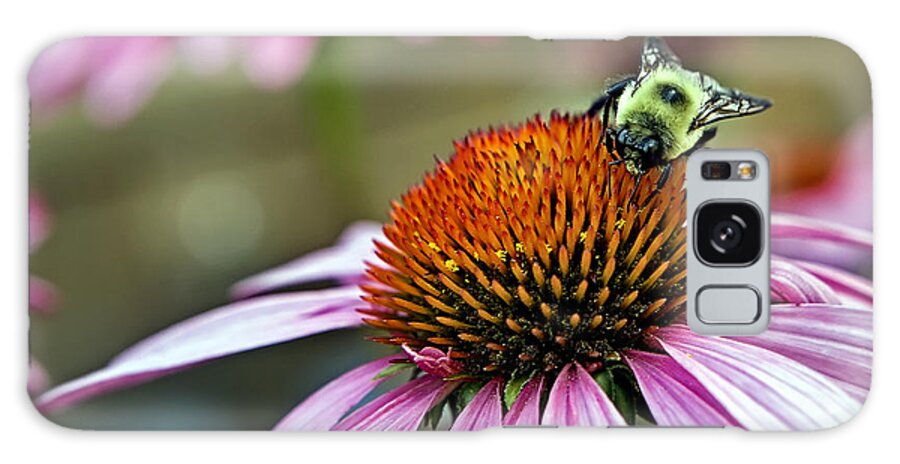 Macro Galaxy Case featuring the photograph Purple Cone Flower and Bee by Al Mueller