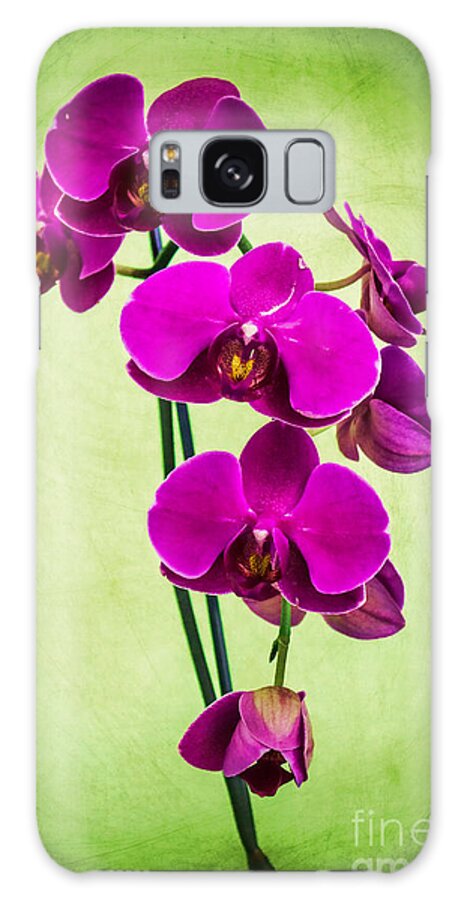 Purple Galaxy Case featuring the photograph Purple Delight Orchid by Roberta Byram