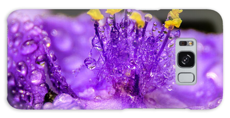 Water Drops Galaxy Case featuring the photograph Purple Flower After The Rain by Wolfgang Stocker