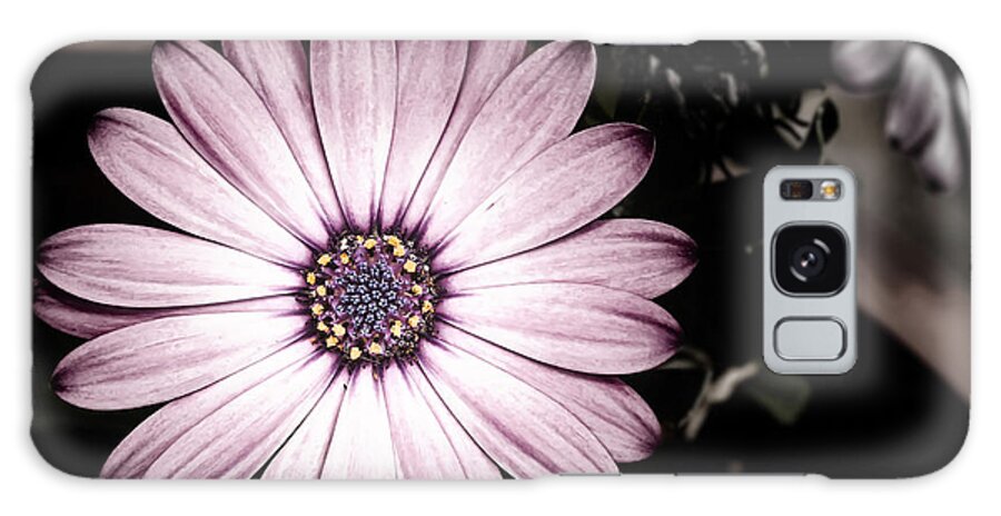 Flower Galaxy Case featuring the photograph Purple Flower by Al Mueller