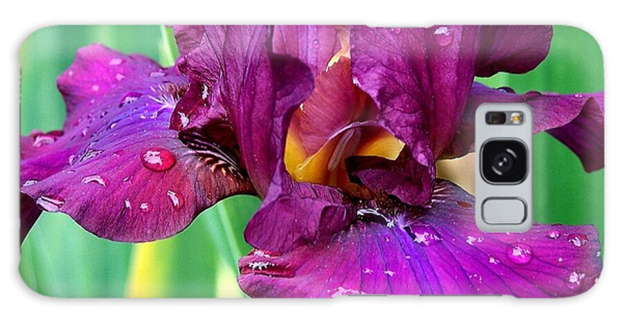 Purple Galaxy Case featuring the photograph Purple Iris 2 Photograph by Kimberly Walker
