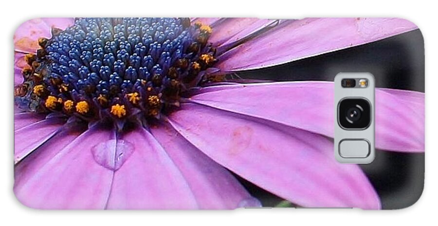 Flora Galaxy Case featuring the photograph Purple Jewel by Bruce Bley