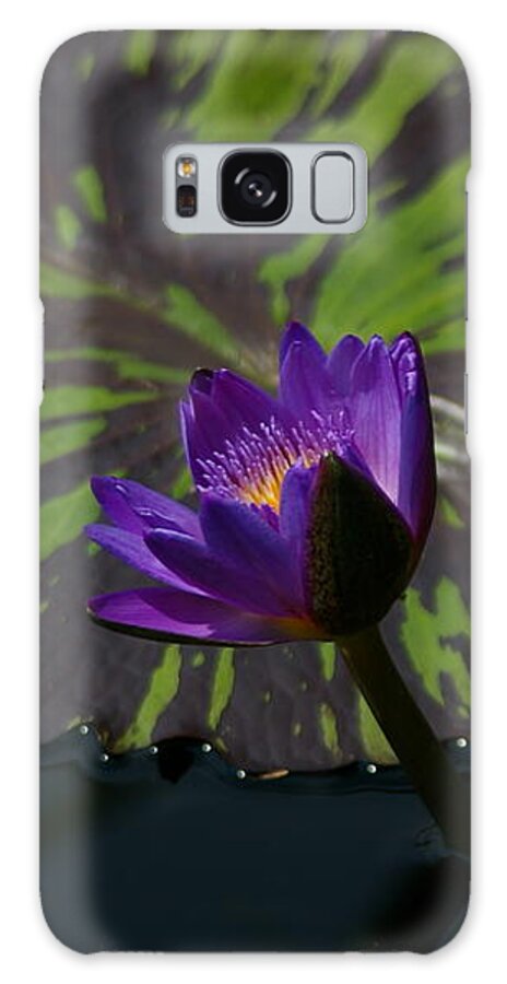 Purple Galaxy Case featuring the photograph Purple Lotus Waterlily and Bicolor Lily Pad by Jackie Irwin