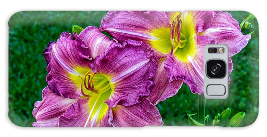 Flowers Galaxy S8 Case featuring the photograph Purple Pair by Nathan Little