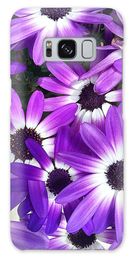 Diane Berry Galaxy Case featuring the photograph Purple Petal Pile by Diane E Berry