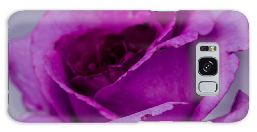 Rose Galaxy Case featuring the photograph Purple Rose by Cathy Donohoue