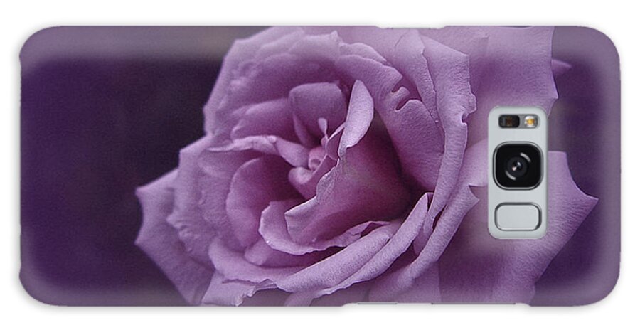 Rose Galaxy Case featuring the photograph Purple Rose of November by Richard Cummings