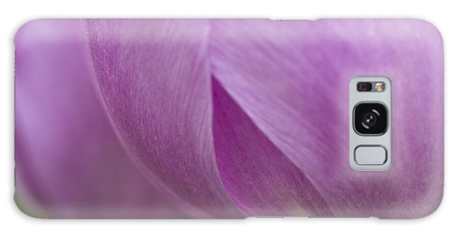 Beauty Galaxy Case featuring the photograph Purple Shadow by Eggers Photography
