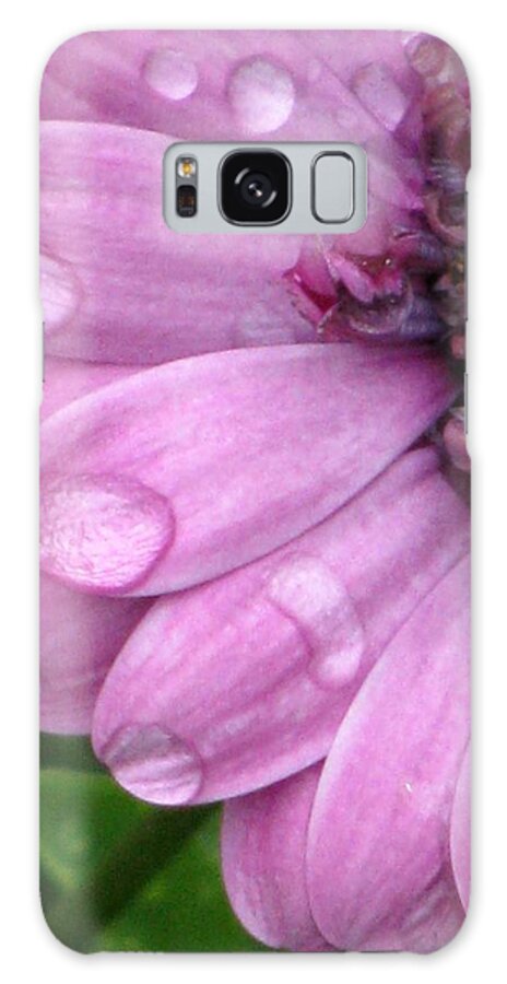 Flower Galaxy Case featuring the photograph Purple Spring Drops 01 by Pamela Critchlow