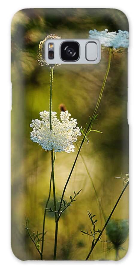 Wildflowers Galaxy Case featuring the photograph Queen Annes Waving by Linda McRae