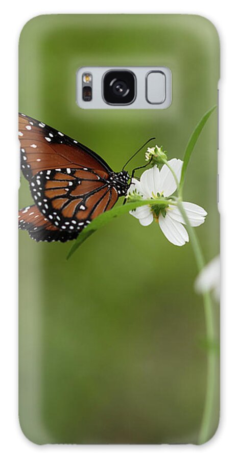 Butterfly Galaxy Case featuring the photograph Queen Drinking Nectar by Artful Imagery