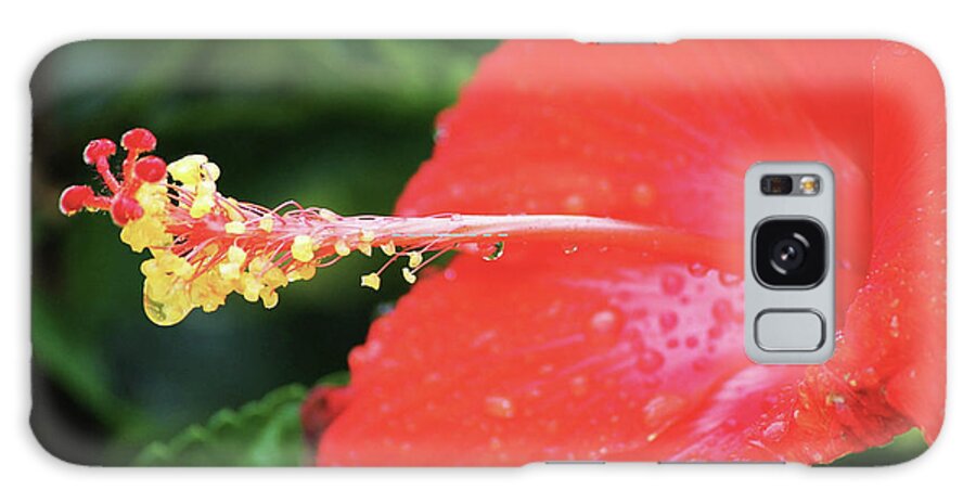 Flowers Galaxy Case featuring the photograph Rain Drops by Rod Whyte