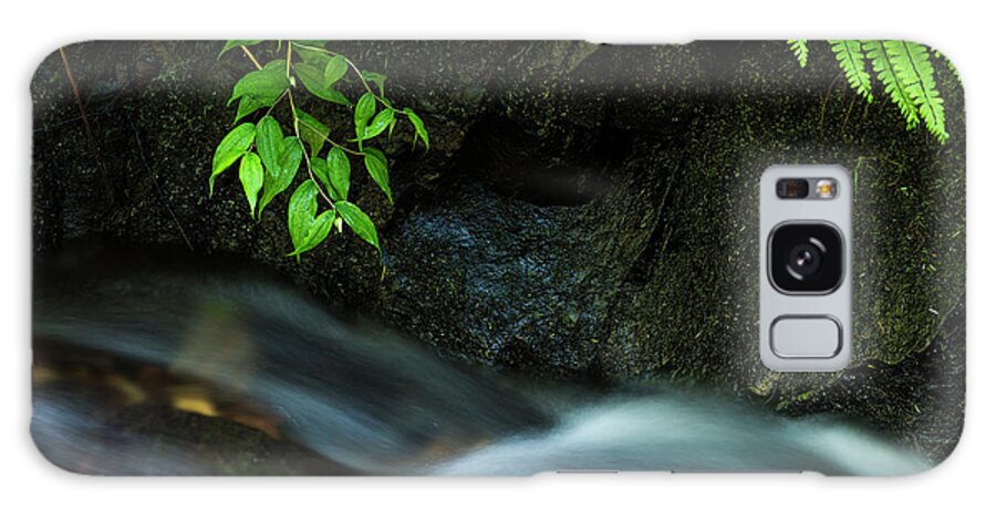 Cannon Beach Galaxy S8 Case featuring the photograph Rain Forest Stream by Robert Potts