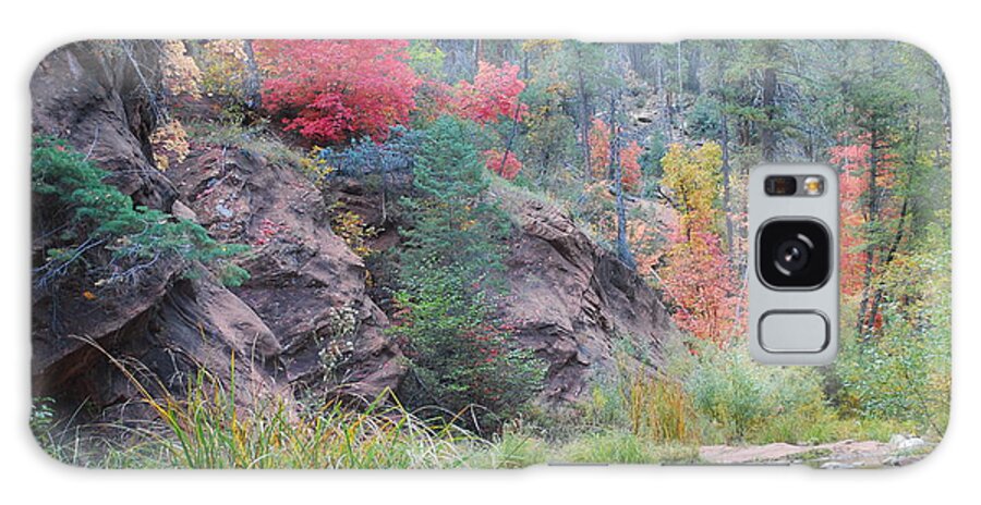 Sedona Galaxy Case featuring the photograph Rainbow of the Season with River by Heather Kirk