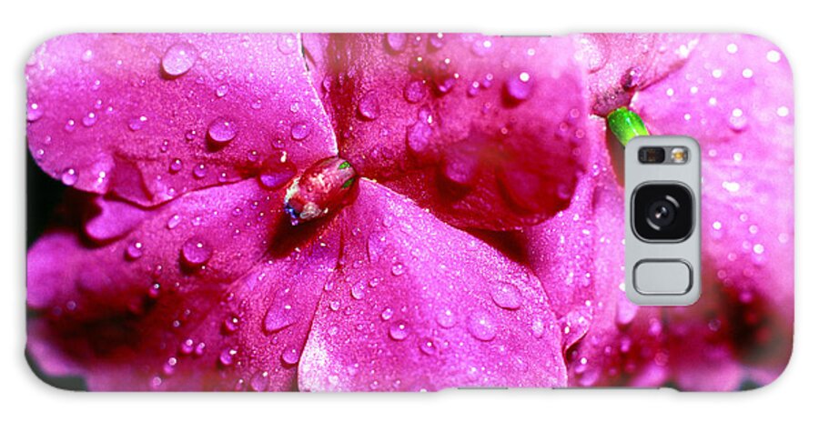Impatiens Galaxy S8 Case featuring the photograph Raindrops on Impatiens by Thomas R Fletcher