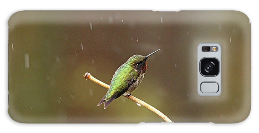 Hummingbirds Galaxy Case featuring the photograph Rainy Day Hummingbird by Debbie Oppermann