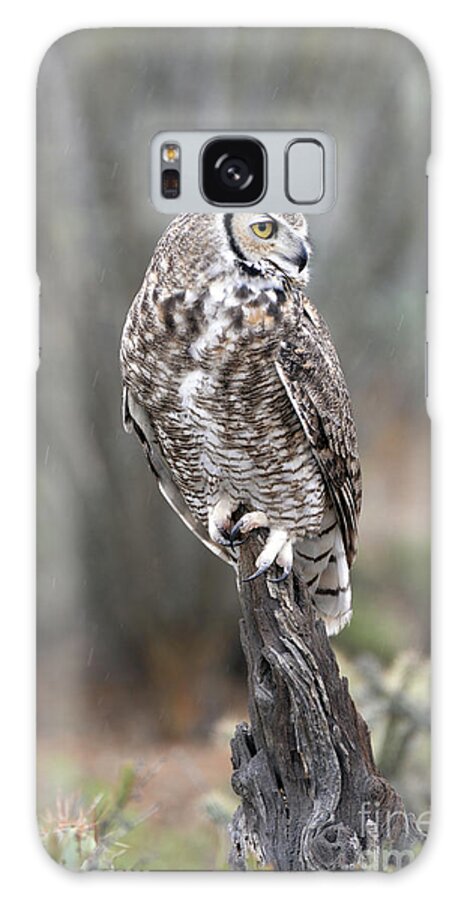 Denise Bruchman Galaxy Case featuring the photograph Rainy Day Owl by Denise Bruchman