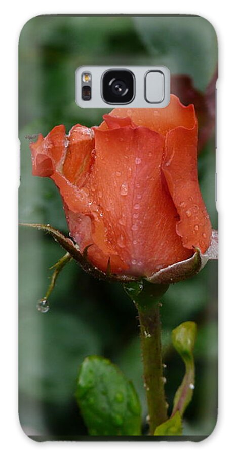 Flower Galaxy S8 Case featuring the photograph Rainy Rose Bud by Valerie Ornstein