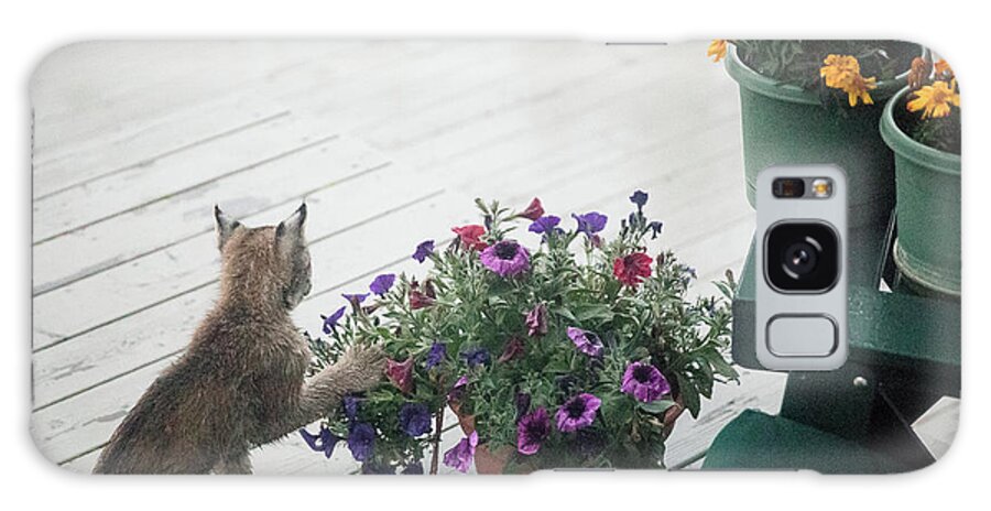 Lynx Galaxy Case featuring the photograph Swat the Petunias by Tim Newton