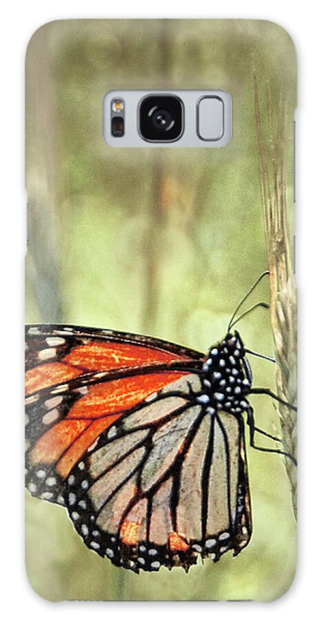 Butterfly Galaxy Case featuring the photograph Ravaged Yet Resilient by Peg Runyan