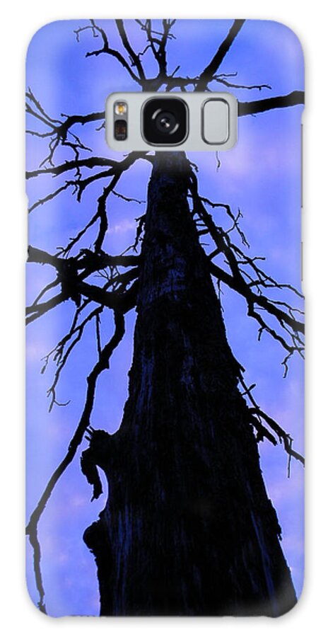 Nature Galaxy S8 Case featuring the photograph Reaching for the Sky by Nicole Crabtree
