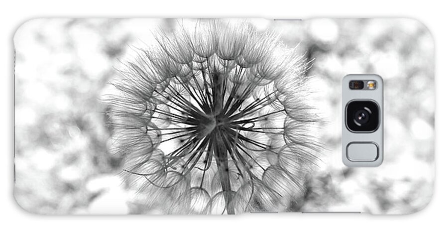 Dandelion Seed Head Galaxy Case featuring the photograph Ready For Liftoff B / W by DiDesigns Graphics