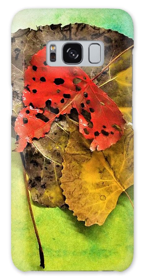Fall Colors Galaxy Case featuring the photograph Ready For The Pile by Michael Dillon