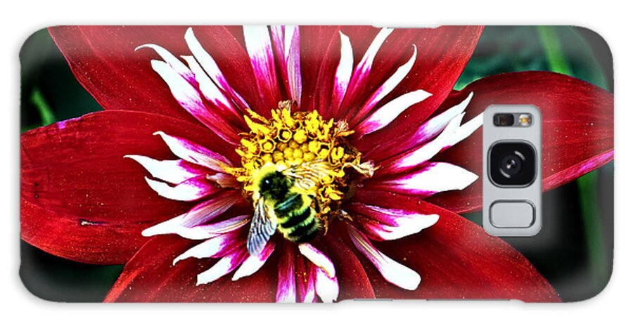 Flower Galaxy S8 Case featuring the photograph Red and White Flower with Bee by Anthony Jones