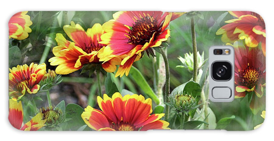 Daisy Galaxy Case featuring the photograph Red And Yellow Daisy Dreams by Smilin Eyes Treasures
