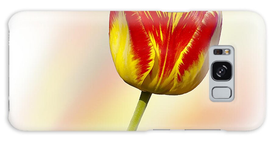 Red And Yellow Tulip Galaxy Case featuring the photograph Red and Yellow by Bon and Jim Fillpot