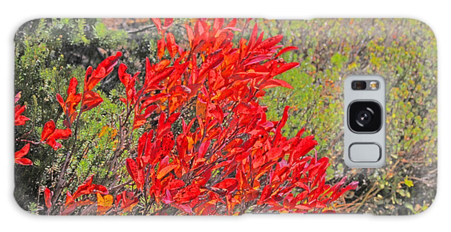 Leaves Galaxy Case featuring the photograph Red Autumn Leaves a-la Monet by David Frederick