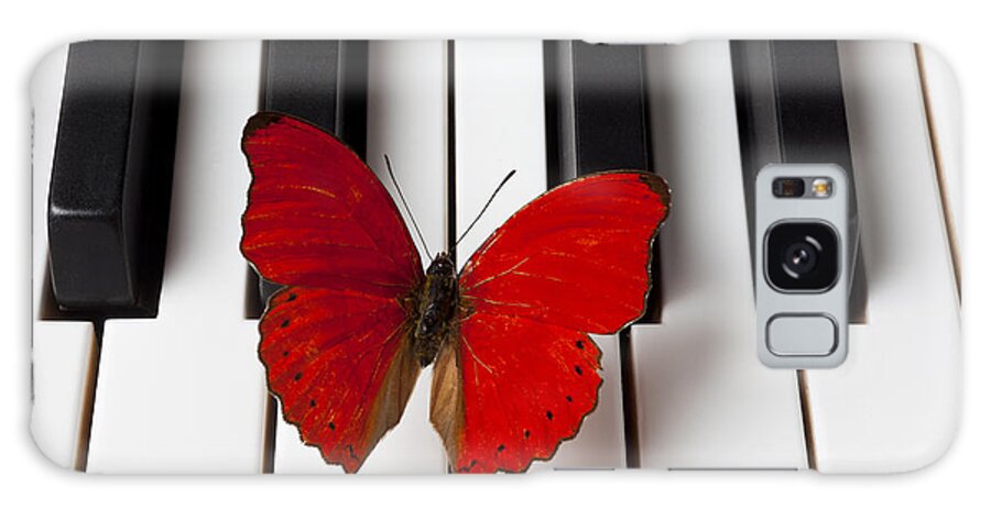 Red Butterfly Galaxy Case featuring the photograph Red Butterfly On Piano Keys by Garry Gay