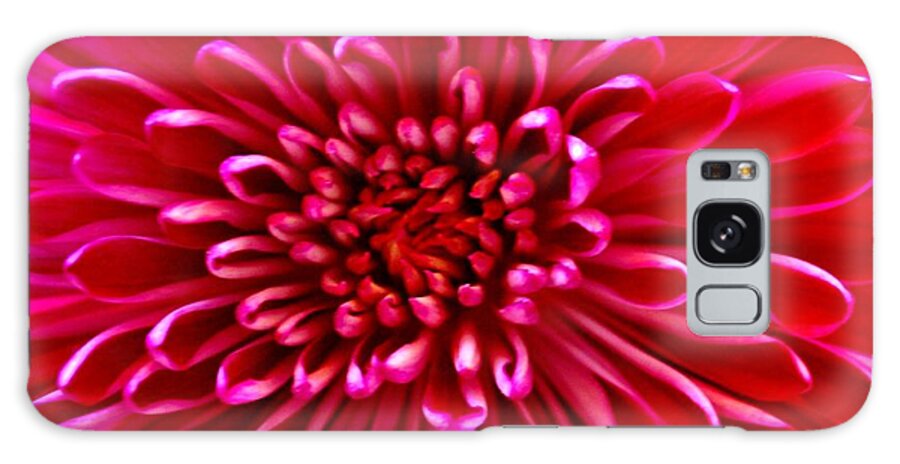 Red Galaxy S8 Case featuring the photograph Red Chrysanthemum by Eileen Brymer